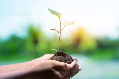 climate-action